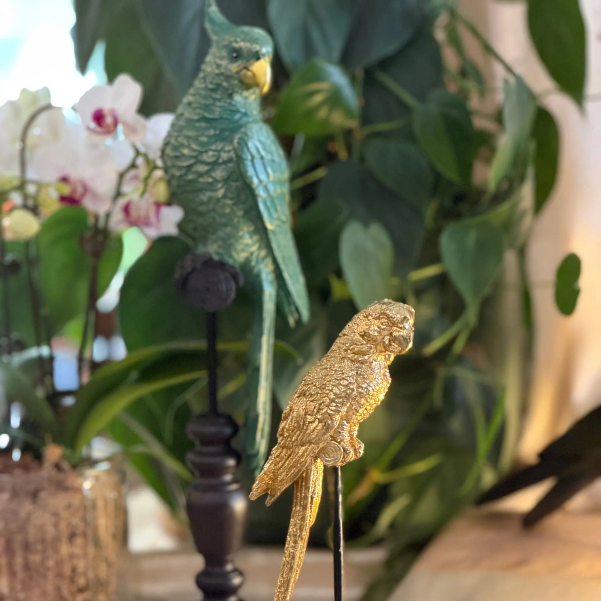 Ambrose Gold Parrot on a Stand The Wolf and Peacock
