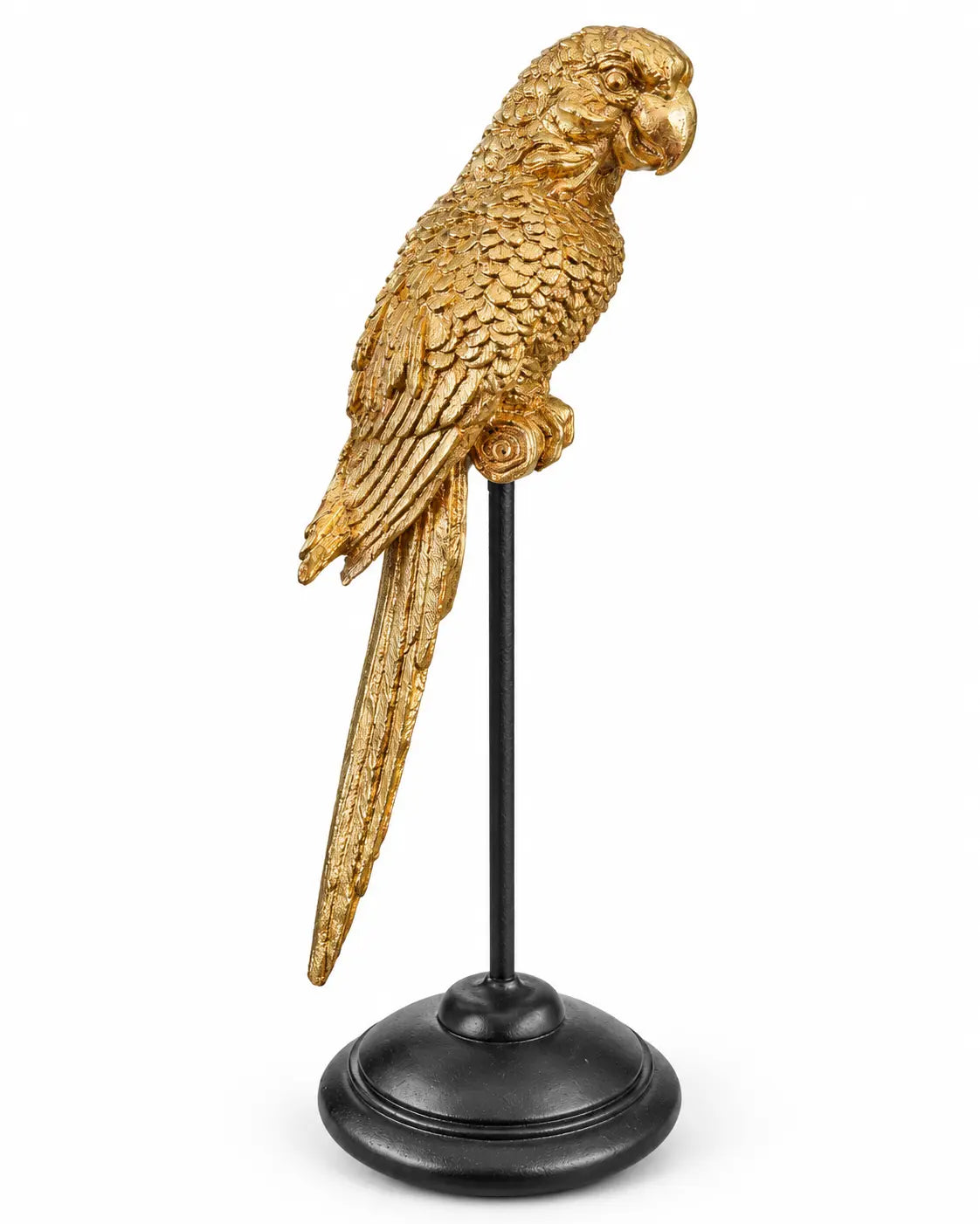 Ambrose Gold Parrot on a Stand The Wolf and Peacock